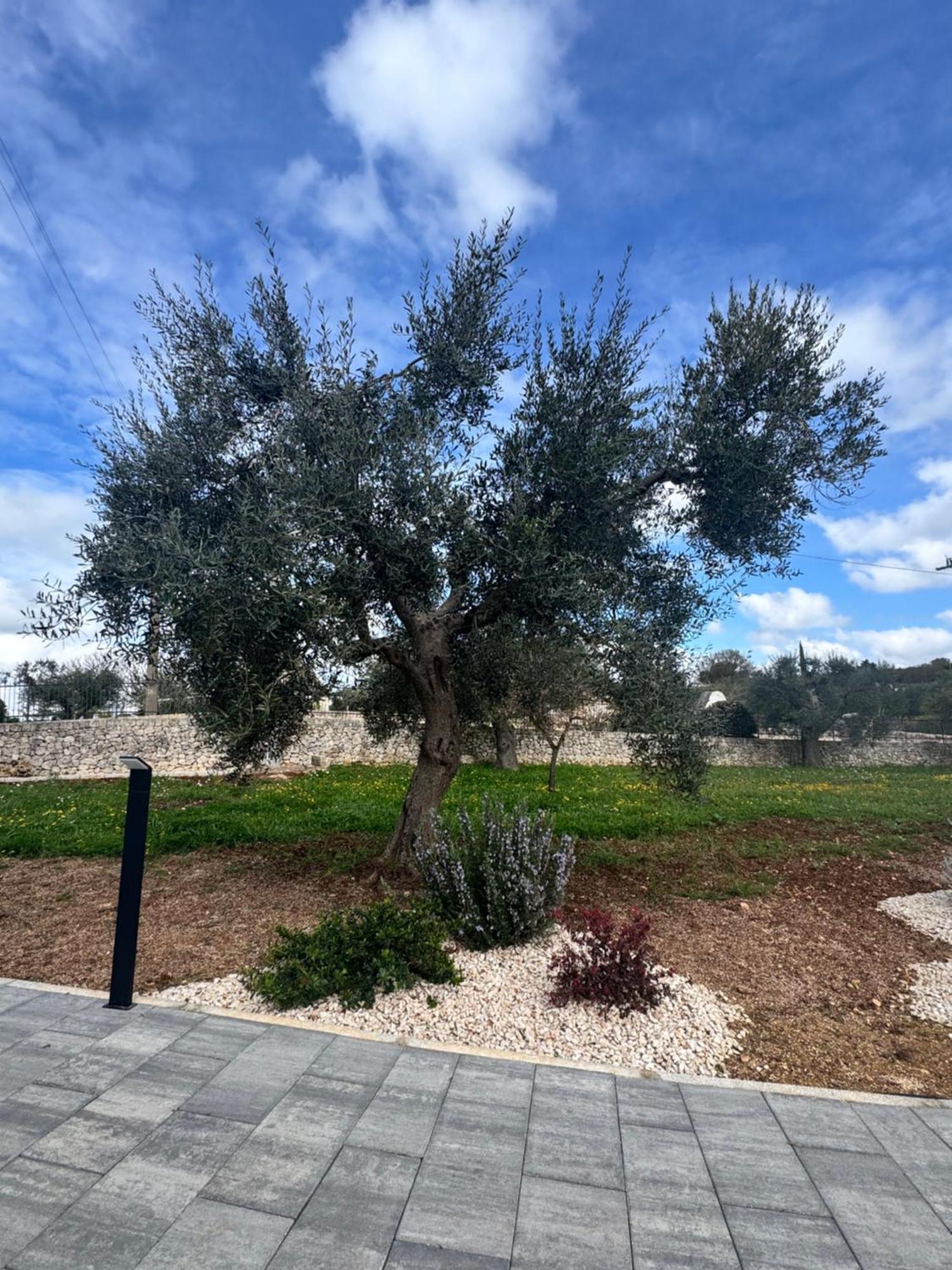 Alberobbe Luxury Rooms Альберобелло Экстерьер фото